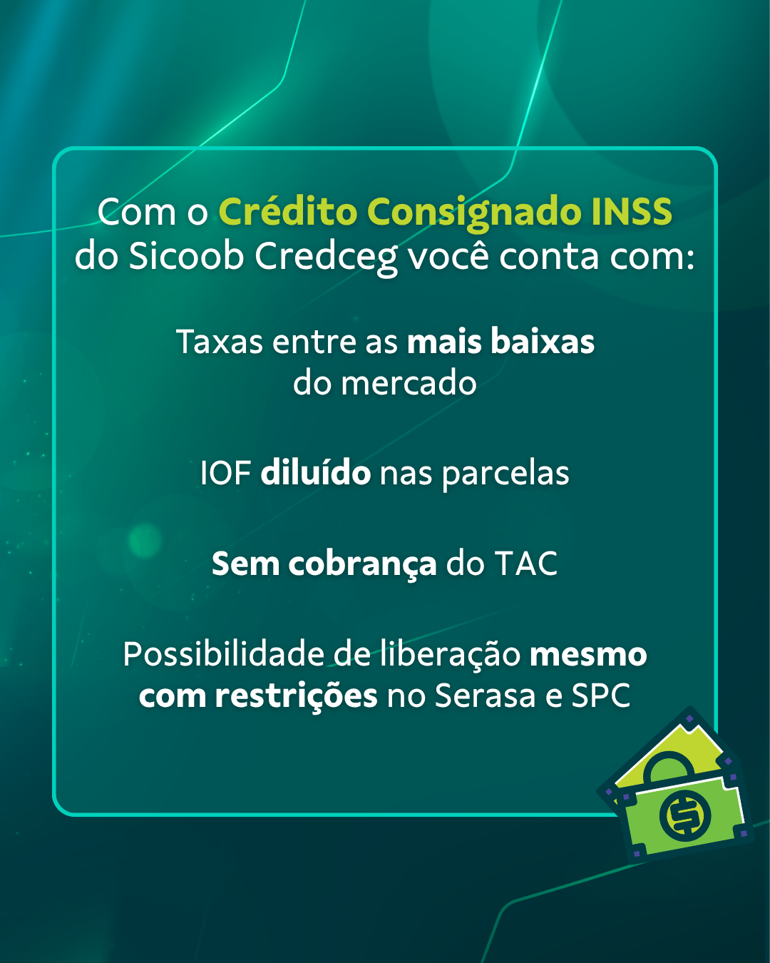 INSS 19
