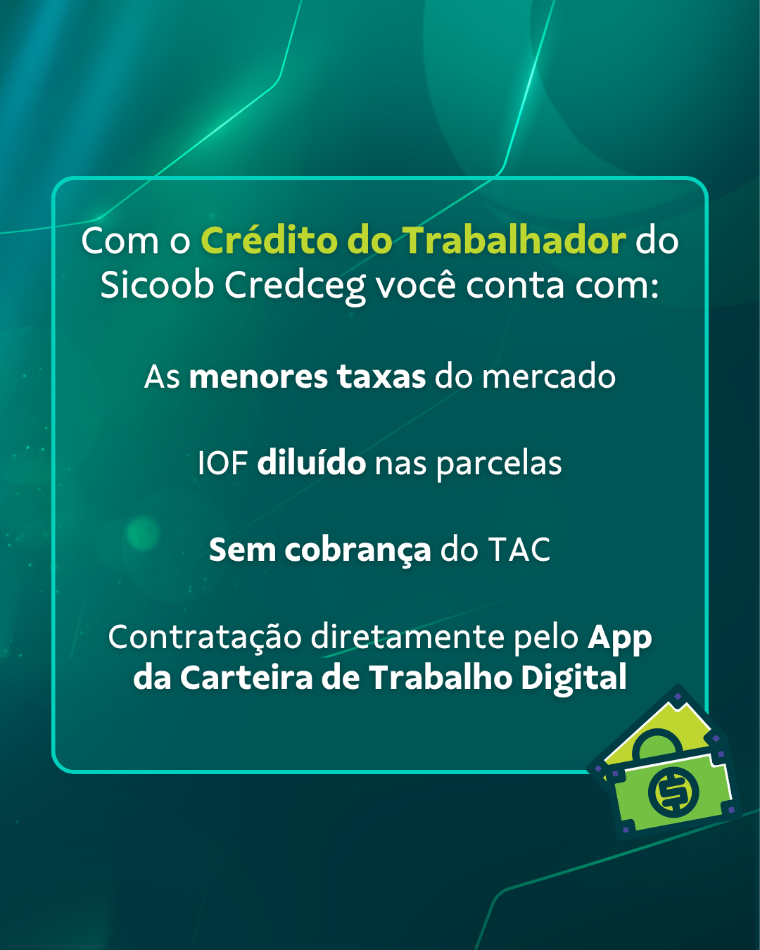 Trab 24